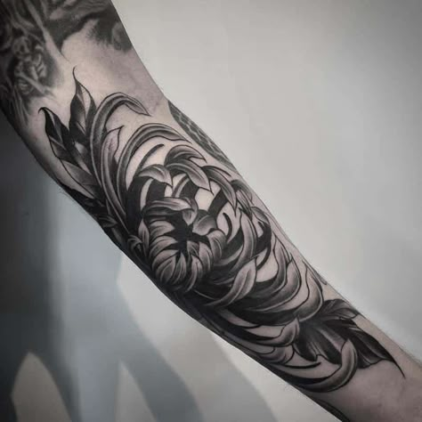 Chrysanthemum Tattoo Men, Chrysanthemum Tattoo Black, Crysanthemum Tattoo Design, Black Chrysanthemum Tattoo, Japanese Chrysanthemum Tattoo, Tattoos And What They Mean, Neotrad Tattoos, Chrysanthemum Tattoos, Crisantemo Tattoo