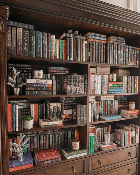 Room Bookshelf Aesthetic, Book Shelf Organization Ideas, Bookshelf Organization Aesthetic, Bookshelves Organization, Aesthetic Bookshelf Ideas, Bookshelf Organization Ideas, Bookstagram Bookshelves, Cool Bookshelf, Beautiful Bookshelves