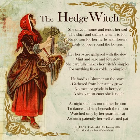 Hedge Witch Aesthetic, Hedge Witchcraft, Witch Types, Hedge Witchery, Hearth Witch, Types Of Witches, Green Witchcraft, Cottage Witch, Witch Things