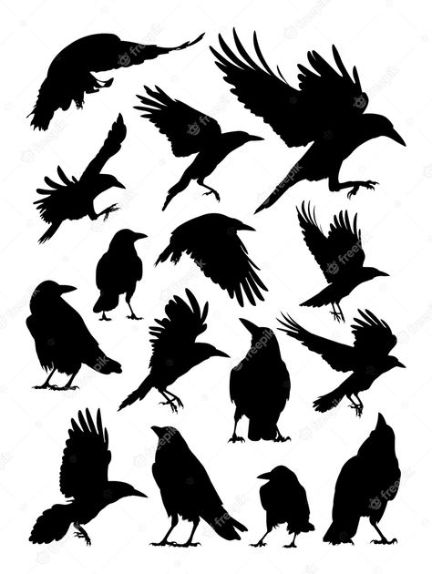 Premium Vector | Rook, crow, raven silhouette Raven Silhouette, Crow Logo, Crow Flying, Crow Silhouette, Crows Drawing, Crow Tattoo Design, Black Bird Tattoo, Raven Logo, Raven Bird