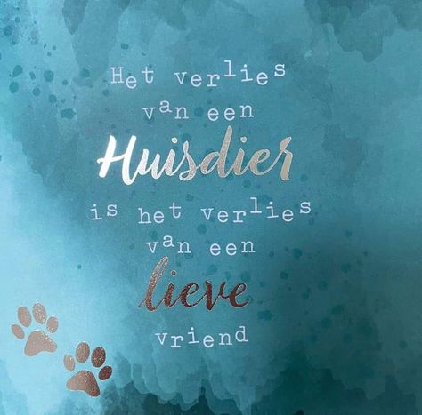 Dutch Quotes, Pet Loss, Dog Quotes, In Loving Memory, Dog Love, Chalkboard Quote Art, Funny Cats, Cute Dogs, Love You