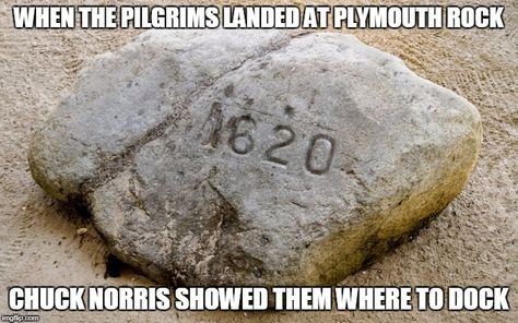 Chuck Norris Memes, November Ideas, Plymouth Rock, Healthy Living Quotes, Teaching History, Chuck Norris, May Flowers, Vintage Photographs, Plymouth