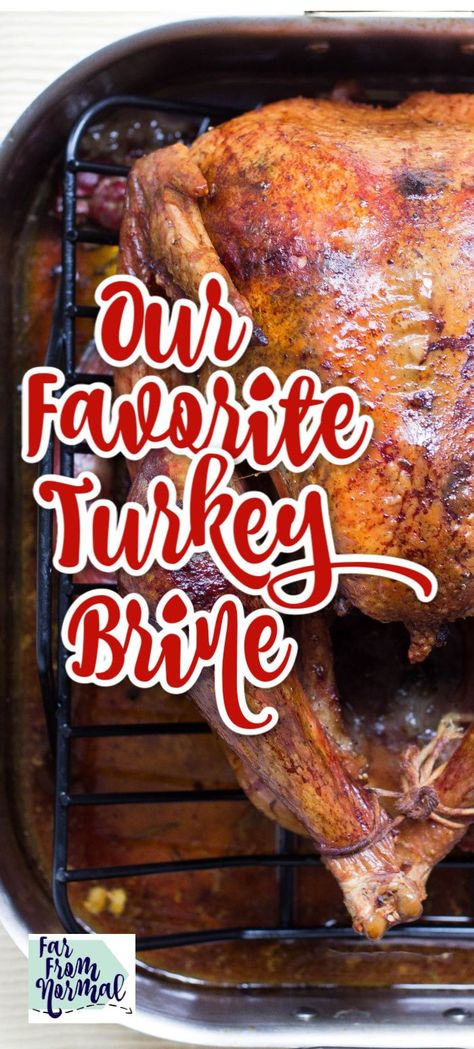 Brine And Bake Turkey, Best Turkey Brine For Smoked Turkey, Best Turkey Brine Recipe, Brine Turkey Recipes Thanksgiving, Turkey Brine Recipes Best, Quick Turkey Brine, Turkey Brine For Smoked Turkey, Turkey Brine Recipes Easy, Smoked Turkey Brine