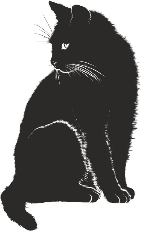 Cat, Shadow, Silhouette, Black, Animal Silhouette Chat, Kitty Tattoos, Black Cat Drawing, Draw Cats, Cat Shadow, Shadow Silhouette, Black Cat Art, A Black Cat, Cat Artwork