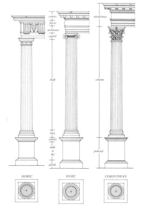 The Fall 2006, معرض فني, Architectural Orders, Architecture Blueprints, Greek Columns, Interior Columns, Gothic Cathedrals, Ancient Greek Architecture, Stone Columns