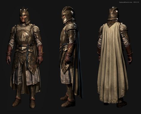 Kingsguard Armor, Armor Clothing, Asoiaf Art, Gra O Tron, 3d Games, Game Of Thrones Art, Knight Armor, Medieval Armor, Game Character Design