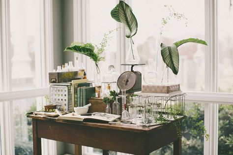 botanical science decor Botanical Laboratory, Vintage Location, Botanical Science, Science Wedding, Botanical Interior, Botanical Wedding Inspiration, Classroom Window, Botanical Inspiration, Photography Concept