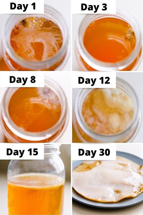 How to Make Kombucha Scoby - iFOODreal.com Scoby Recipe How To Make, Make Your Own Scoby, Homemade Kombucha Scoby, Kombucha Recipe Scoby, How To Make Kombucha Scoby, Diy Kombucha How To Make, How To Make Scoobies, How To Make A Scoby, How To Make A Scoby For Kombucha