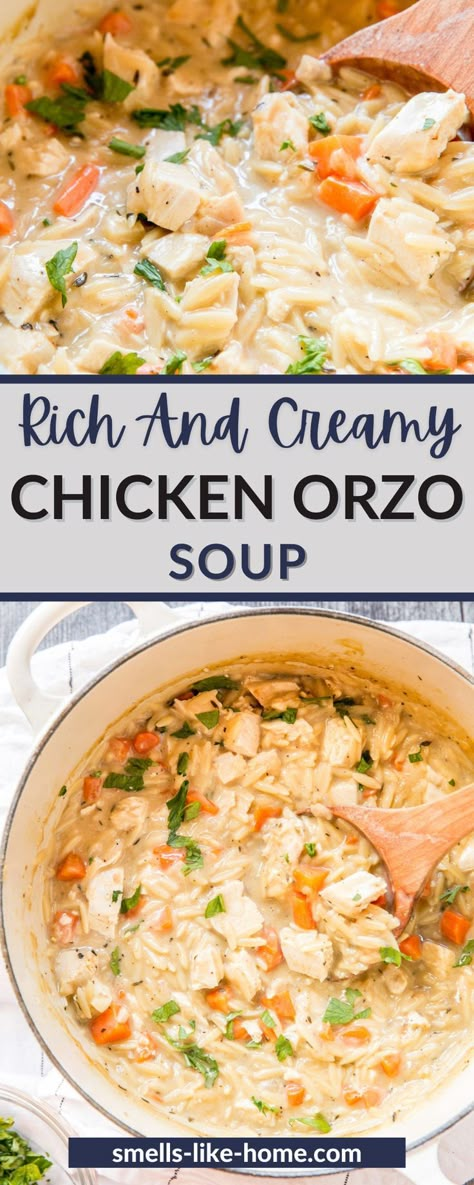 Creamy Chicken Orzo Soup, Creamy Chicken Orzo, Chicken Leftovers, Frozen Dinner, Orzo Soup, Carrots Celery, Chicken Orzo Soup, Chicken Orzo, Fresh Spinach