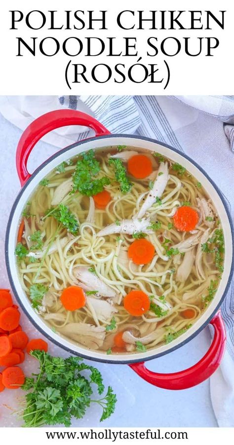 Healing Chicken Noodle Soup, Polish Chicken Soup, Polish Soup, Chicken Broth Soup, Chicken Soup Recipes Homemade, 5 Course Meal, Polish Chicken, Creamy Soup Recipes, Homemade Chicken Noodle