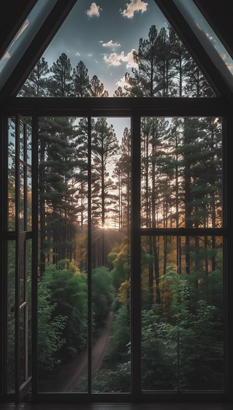 Landscape Through Window, Window Forest View, House With Lots Of Windows, Easy Room Decor, Beautiful Scenery Pictures, Forest Photos, Witchy Wallpaper, Forest View, Window Mirror