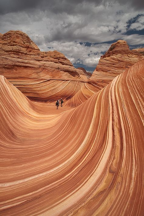 The Wave Arizona, Sandstone Rock, Coyote Buttes, Paria Canyon, No Wave, Beauty Dish, Colorado Plateau, Arizona Travel, Northern Arizona