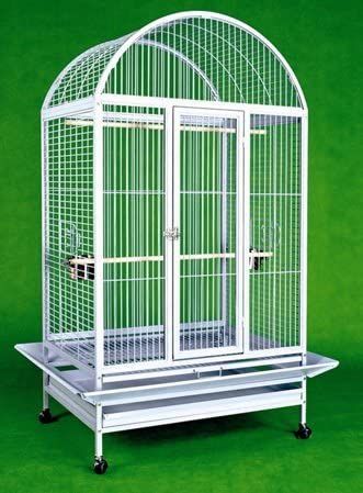 Amazon.com : Large Wrought Iron Bird Cage Parrot Cages Macaw Dometop 36"x26"x65" *Egg Shell White* : Pet Supplies Parrot Accessories, Large Parrot Cage, Iron Bird Cage, Parrot Cages, Bird Room, Cockatiel Cage, Bird Cages For Sale, Antique Bird Cages, Pet Bird Cage