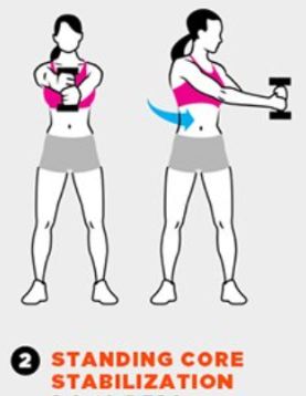 Core Workout | Standing Core Stabilization Workout Standing, Training Motivation, Core Workout, Gym