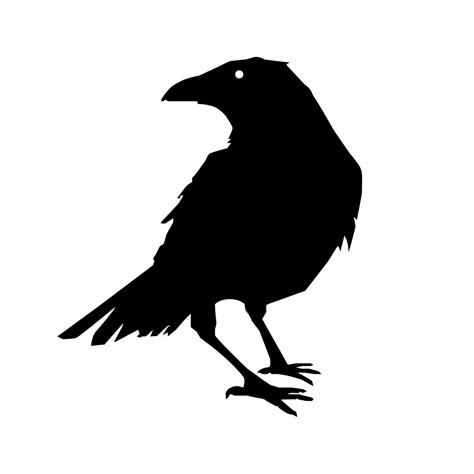 Flying Background, Crow Illustration, Raven Flying, Crow Silhouette, Crows Drawing, Crow Tattoo Design, 7 Tattoo, Raven Logo, Crow Tattoo