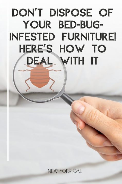 Western Bed Frame, Natural Bed Bug Repellent, Bed Bug Remedies, Bedbugs Removal, Western Bed, Bed Bug Trap, Bug Spray Recipe, Kill Bed Bugs, Kill Bugs