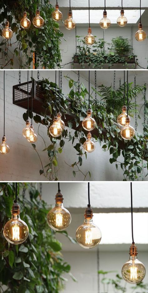 Hanging Plant Restaurant, Hanging Plants Lights, Hanging Lights With Plants, Coffee Shop Diy Decor, Hanging Light With Plants, Coffee Shop Plant Wall, Hanging Plants Coffee Shop, Kitchen With Hanging Plants, Hanging Lights And Plants