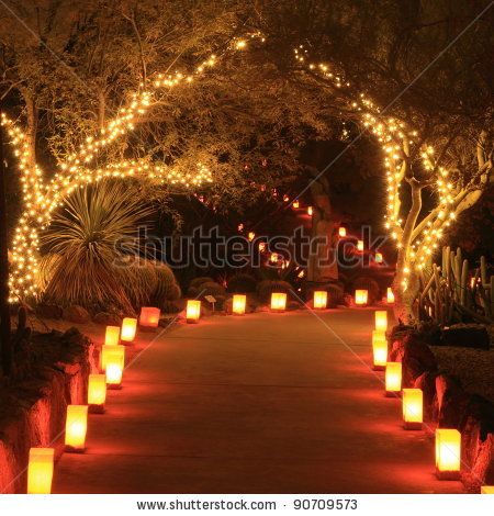 Trees and path lit with holiday lights and luminarias at night Christmas House Lights, Driveway Lighting, Backyard Lighting, Path Lights, Outdoor Christmas Lights, Garden Decorations, Western Wedding, Photo Tree, Twinkle Lights