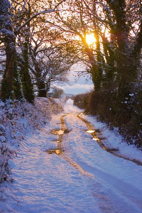 Winter sunset on a country road (no location given) by Sharon Jones-Williams Winter Sunset, Winter Love, Airbrush Art, Winter Scenery, Winter Magic, Winter Beauty, Snow Scenes, Winter Pictures, Winter Wonder