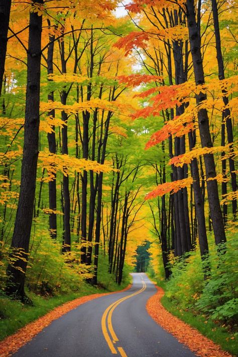 Autumnal Beauty: Where to Find the Best Fall Foliage in Wisconsin Apostle Islands National Lakeshore, Autumn Landscapes, Apostle Islands, Leaf Peeping, Grant Park, Autumn Scenery, Beautiful Images Nature, Tourist Spots, Autumn Landscape