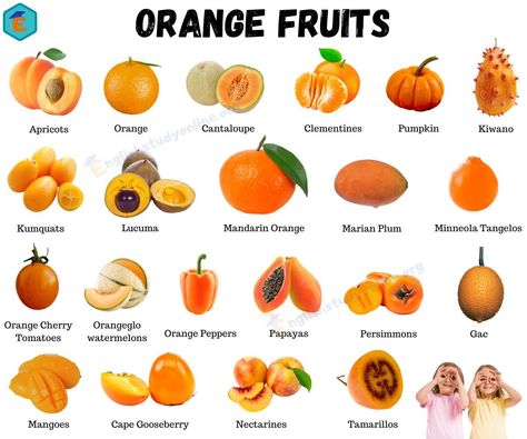 Fruits And Vegetables List, Fruits Name In English, Orange Cauliflower, Squash Vegetable, Food Infographic, Fruit Picture, Healthy Snack Options, Rainbow Food, Juicy Fruit