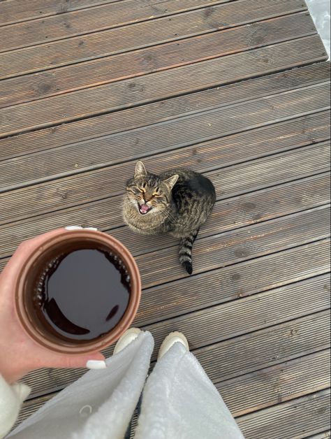 Cat Instagram Ideas, Photo With Cat Ideas, Pics With Cat, Cat Insta Story, Cat Asthetics Photos, Cat Pics Aesthetic, Selfie With Cat, Cat Photo Ideas, Cat Mom Aesthetic