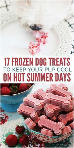 When the weather starts to heat up, we think of every way possible to cool down. Swimming, air conditioners, and frozen treats are on our lists, and there’s no reason you shouldn’t pamper your pooch the same way. That’s right; dogs enjoy a frozen dessert now and then. Here are 17 frozen dog treats that are canine-safe and friendly to help keep your dog cool when the temperatures are up. Pup Cakes, Frozen Dog Treats, Recipes Pumpkin, Dog Biscuit Recipes, Easy Dog Treats, Frozen Dog, Dog Treats Homemade Recipes, Food Dog, Homemade Applesauce