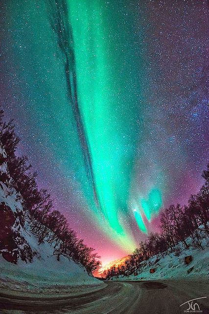 Northern Lights Photography, Northern Lights (aurora Borealis), Aurora Borealis Northern Lights, The Aurora, The Night Sky, Natural Phenomena, Bright Lights, Beautiful Sky, Science And Nature