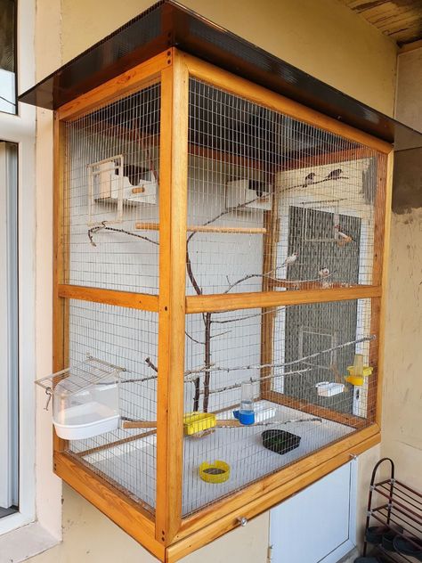 Parrot Play Stand Diy, Birds Aviary Ideas, Birds Cage Ideas Outdoor, Diy Bird Cage Decoration, Bird Cage Diy, Baby Squirrel Care, Bird Cage Ideas, Parrot Play Stand, Indoor Rabbit Cage