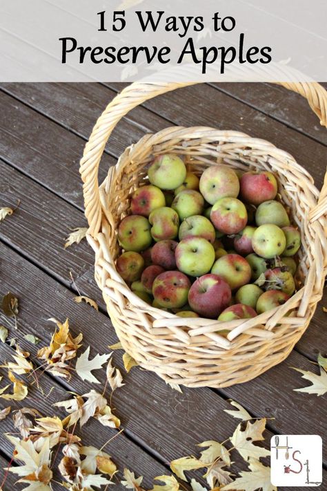 Be sure to save some of the fall season's flavor with one or more of these 15 ways to preserve apples. Preserve Apples, Sour Cherries, Seasonal Living, Home Canning, Dehydrated Food, Staying Healthy, Keeping Healthy, Apple Picking, Be Natural