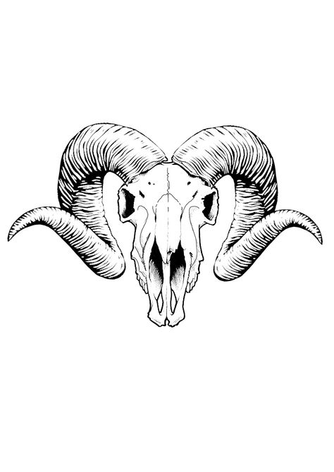 Ram Skull Painting, Ramskull Tattoo Design, Satanic Goat Skull Tattoo, Ram Skull Tattoo, Mars Logo, Tattoo Goat, Dagger Drawing, Skull Template, Sheep Tattoo