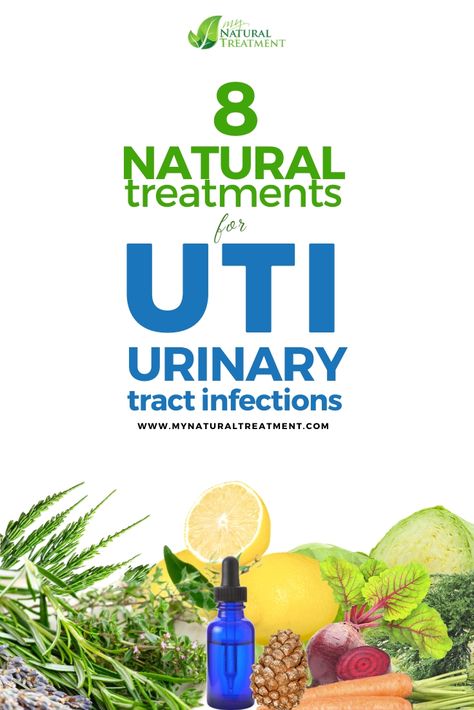 Here you have the most amazing natural treatments for urinary tract infection UTI that make use of simple ingredients with instructions. Juniper Oil, Herbs Remedies, Thyme Oil, Flora Intestinal, Oil Remedies, Healing Remedies, Urinary Tract, Health Journey, Natural Herbs