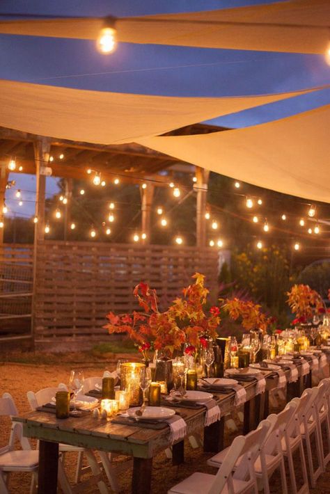 What happens when Southern Living hosts a farm party with West Elm? Delicious dinner, eye-catching tablescapes, and one unbeatable location. Get all our tips and tricks to re-create the look at your own home. #falldecor #falldecorations #falldecorating #falldecoratingideas #falldecoration Bonfire Party Ideas Backyard, Bonfire Party Ideas, Backyard Bbq Party Decorations, Bbq Party Decorations, Thanksgiving Decorations Outdoor, Outdoor Thanksgiving, Backyard Bbq Party, Barbeque Party, Thanksgiving Dinner Party