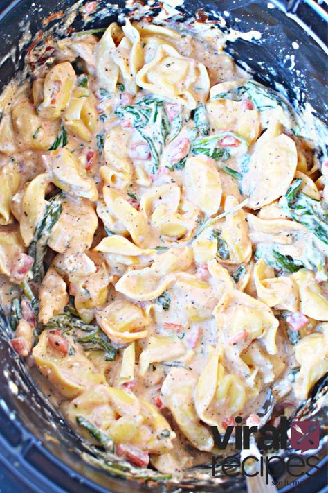 TikTok Healthy Crockpot Tortellini Recipe, Super Viral Recipe for Slow Cooker Dinner with Cheese Tortellini and Creamy Sauce. Inexpensive!! Crockpot Italian Tortellini, Cream Cheese Pasta Crockpot, Crockpot Recipe With Spinach, Crockpot Pasta Recipes Tortellini, Tortellini Pasta In Crockpot, Tortellini Pasta Crockpot, Crockpot Cheesy Tortellini Recipe, Cheese Tortellini Recipes Crockpot Spinach, Crockpot Meals With Tortellini