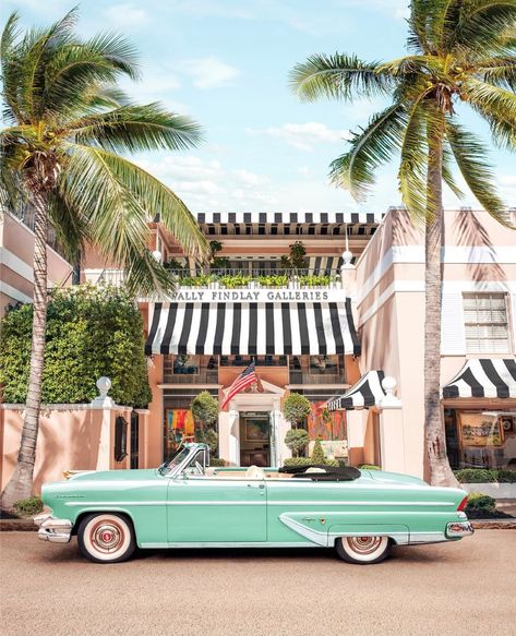 The Palm Beaches offer a variety of options to enjoy diverse art on city streets and in museums, parks and gardens. Photo by paulfuentes_photo on instagram Cheugy Wedding, Palm Beach Aesthetic, Palm Beach Style, Colorful Places, Fancy Wedding, Palm Beach Florida, Florida Beach, Vintage Florida, Indian Decor