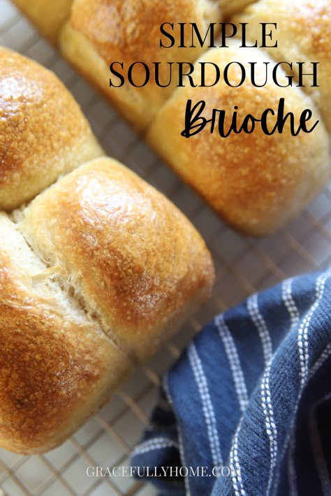 Sourdough Brioche Bread Recipe, Brioche Sourdough Recipe, Sourdough Brioche Rolls, Sourdough Brioche Buns, Sourdough Brioche Bread, Easy Brioche Bread Recipe, Bagel Balls, Sourdough Bread Recipes, Sourdough Brioche