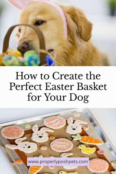 Easter Dog Treats, Dog Easter Basket, Peeps Treats, Homemade Easter Baskets, Dog Easter, Peeps Easter, Healthy Dog Treats Homemade, Easter Dog, Dog Treats Homemade Recipes