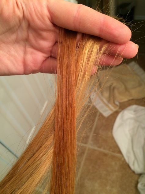 Henna strand test. Caca marron on blonde hair. Yup. Gonna do the whole head. #henna Head Henna, Blonde Henna, Hair Henna, Golden Copper, Strawberry Blonde, 2024 Vision, Hair Cut, Hair Ideas, The Whole