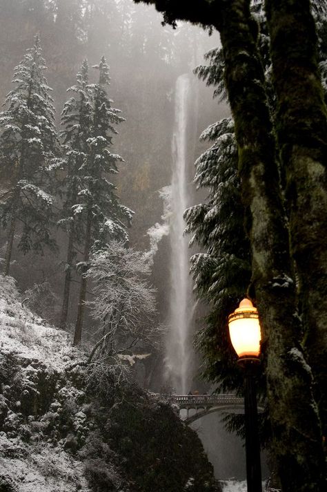 Calming Pictures, Multnomah Falls, Snowy Forest, Chronicles Of Narnia, Winter Scenery, Pinturas Disney, Fantasy Aesthetic, Winter Forest, Winter Aesthetic