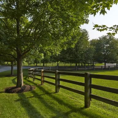 Rooster Hill Farm | Hollander Design Large Yard Landscaping Ideas, Spilled Flower Pot Ideas, Spilled Flower Pot, Garden Corner Ideas, Hollander Design, Large Yard Landscaping, Sophisticated Garden, Farm Landscaping, Flower Pot Ideas