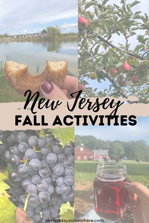 New Jersey Fall is truly the perfect season. If you're looking for things to do like apple picking farms, cider mills, wineries, Octoberfest locations or other cool spots, you found the right place. Perfect Day Somewhere gives you the best fall activities in New Jersey! #newjerseyfall #fallthingstodo #newjerseyactivities Nj Fall Activities, Fall In New Jersey, New Jersey Things To Do, Things To Do In New Jersey, New Jersey Fall, Autumn Travel, Fun List, North America Travel Destinations, New York Vacation