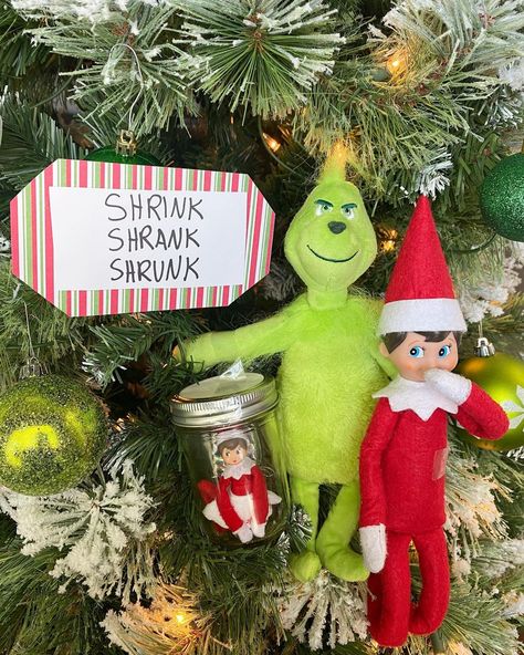 James & Holly on Instagram: “Oh no! The grinch shrunk Holly and trapped her! Hopefully James can rescue her! 👀🎄” Elf Grinch Ideas, Pictures Of Elves, Elf Games, Elf Pets, Christmas Elf Doll, Mr Grinch, Awesome Elf On The Shelf Ideas, Elf Props, Elf Antics