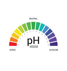 Ph scale universal indicator ph color chart Vector Image