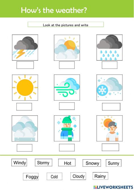 What Is The Weather Like Today, How Is The Weather, Weather Esl, Weather For Kids, Seasons Worksheets, Weather Worksheets, Seasons Months, Esl Vocabulary, English Worksheets For Kids