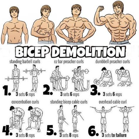 Bicep Workout Gym, Big Biceps Workout, Bicep And Tricep Workout, Gym Antrenmanları, Muscle Abdominal, Gym Workout Chart, Gym Workouts For Men, Planet Fitness, Muscle Building Workouts