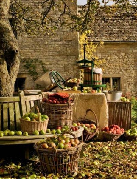 Autumn Apples, Apple Press, Cider Press, Picking Apples, Apple Hill, Apple Festival, Fall Farm, Apple Baskets, Apple Farm