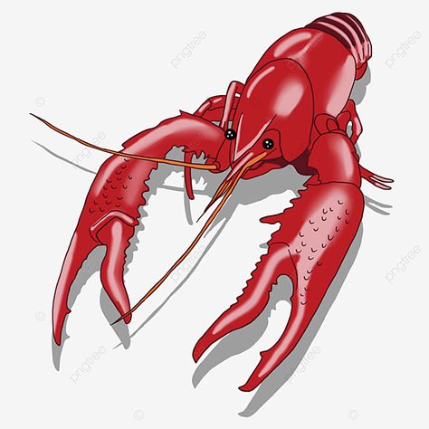 Crawfish Clipart, Crawfish Art, Lobster Clipart, Lobster Festival, Food Lobster, Red Snacks, Crawfish Party, Lobster Art, Dinosaur Sketch