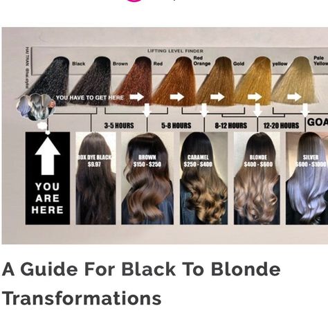 Shown above is a representation of why it's a process to go blonde. I can't count how many times I asked my old co-worker to take me from red to blonde  and she  just rolled her eyes at me like you know it's not going to happen right lol . And  it didn't I always ended up with golden blonde hair . And ruined my hair once or twice cause as a young stylist  I was impatient and wanted that awesome white blonde hair and didn't want to wait  and go through the process . Even without having previous c Black Hair Blonde Ends, Black To Blonde Hair Process, Brown And Black Hair, Black To Blonde, Black To Blonde Hair, Box Dye, White Blonde Hair, Golden Blonde Hair, Red To Blonde