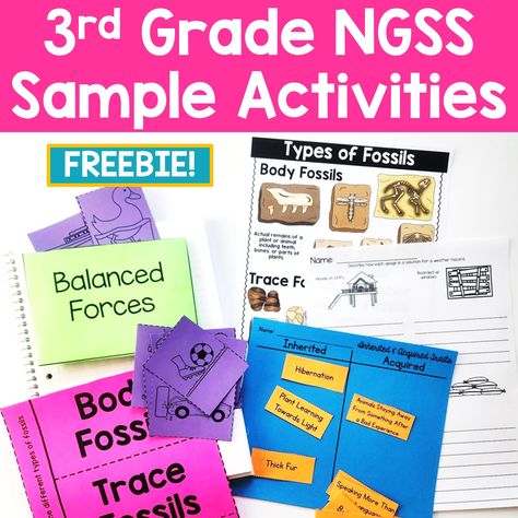 Gravity Activities, Weather Graph, Teaching Weather, Inherited Traits, Motion Activities, Science Notebook, Force And Motion, 3rd Grade Classroom, Weather Activities