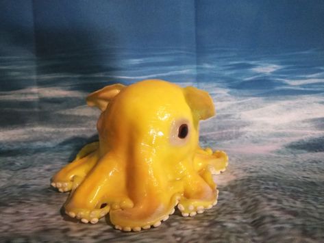 Cute Dumbo Octopus, Silly Octopus, Aesthetic Sea Creatures, Silly Sea Animals, Cute Squid, Flapjack Octopus, Dumbo Octopus, Beautiful Sea Creatures, Aquatic Animals